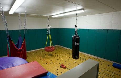 Reclaimed Gym Flooring in Chicago Residence Reclaimed Gym Flooring in Chicago Residence