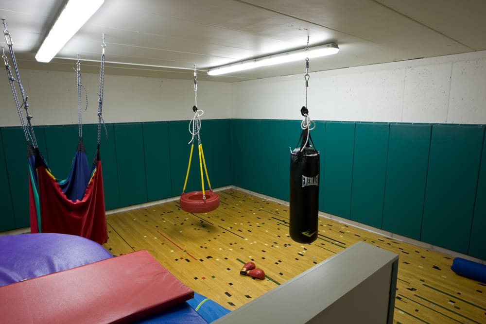 Reclaimed Gym Flooring in Chicago Residence Reclaimed Gym Flooring in Chicago Residence
