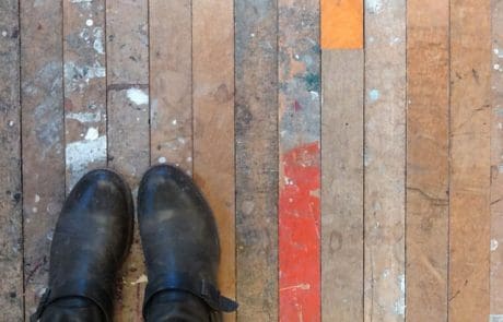 Splattered Factory Maple in Urban Evolutions Office