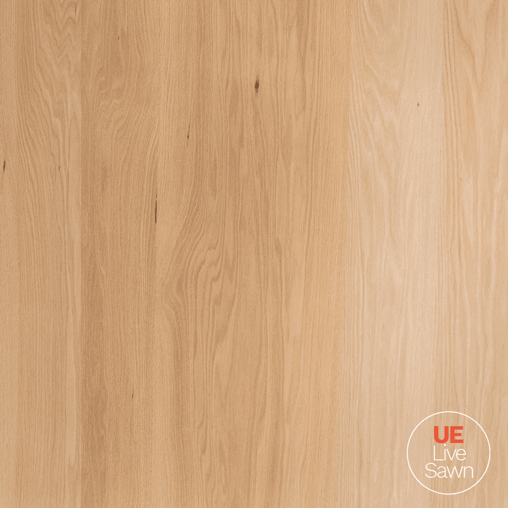 Walnut Wood Wall Paneling Veneer in Matte Clear Finish