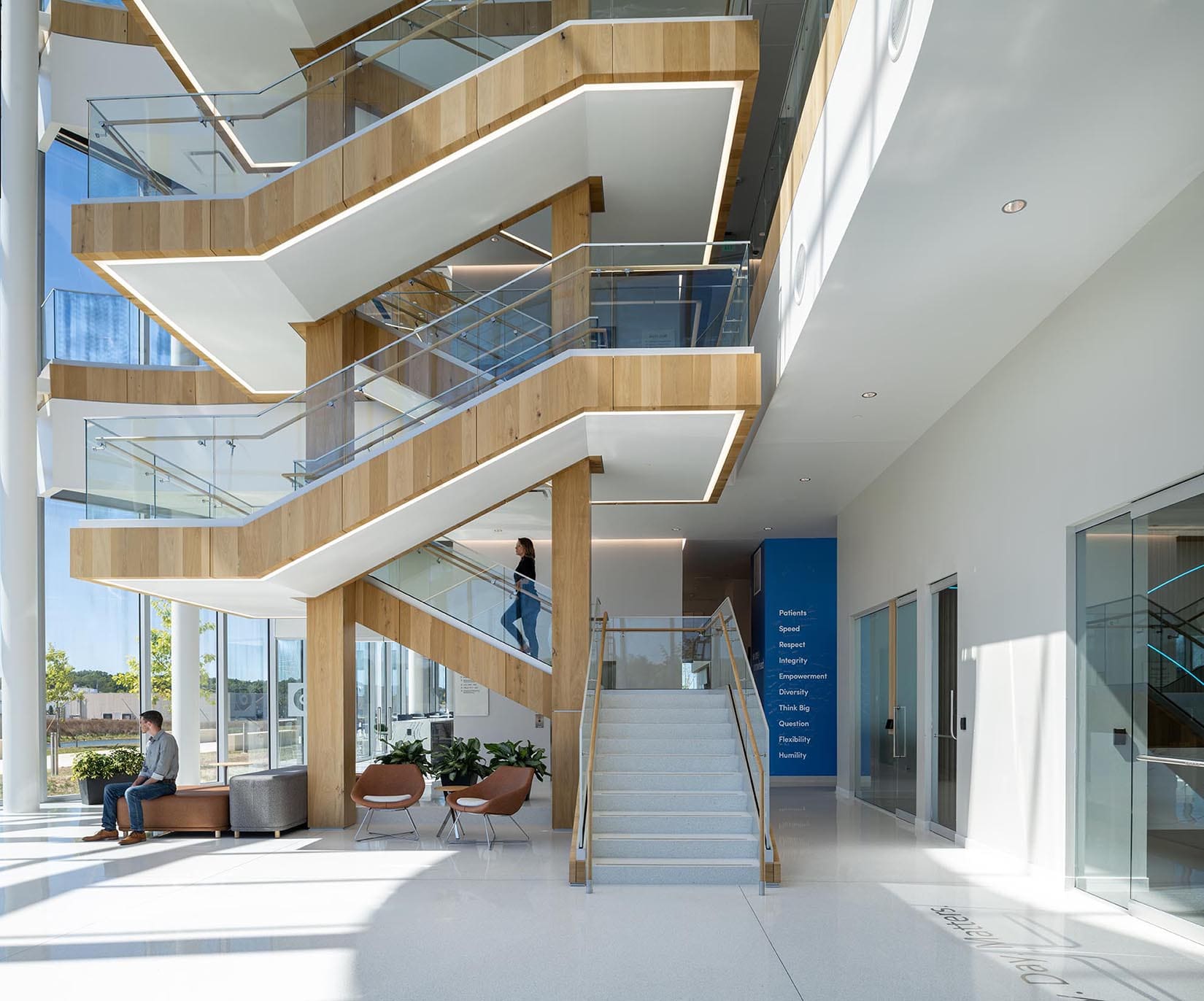 Staircase featuring white oak veneer panels inside pharmaceutical office